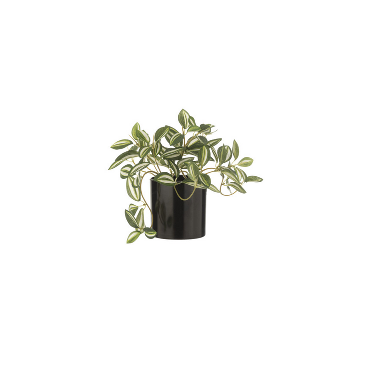 Plante Tradescantia artificelle en pot