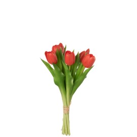 bouquet de tulipes rouges