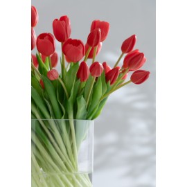 bouquet de tulipes rouges