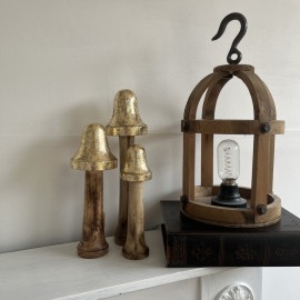 champignon en bois