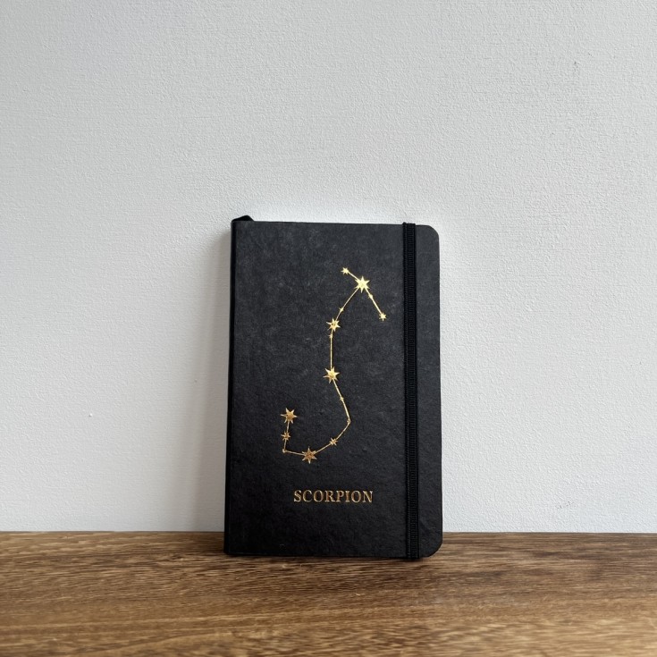 Carnet signes astrologiques