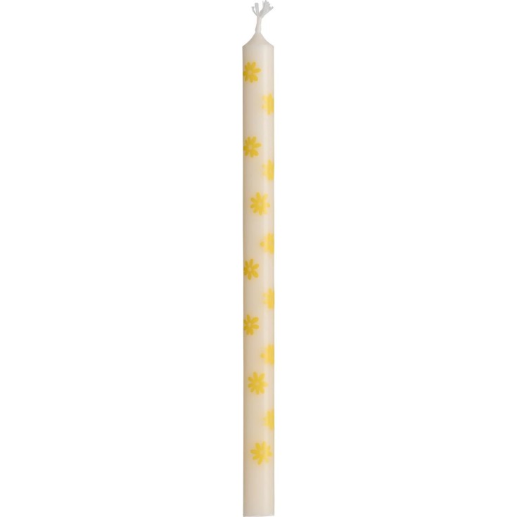 Bougies marguerites
