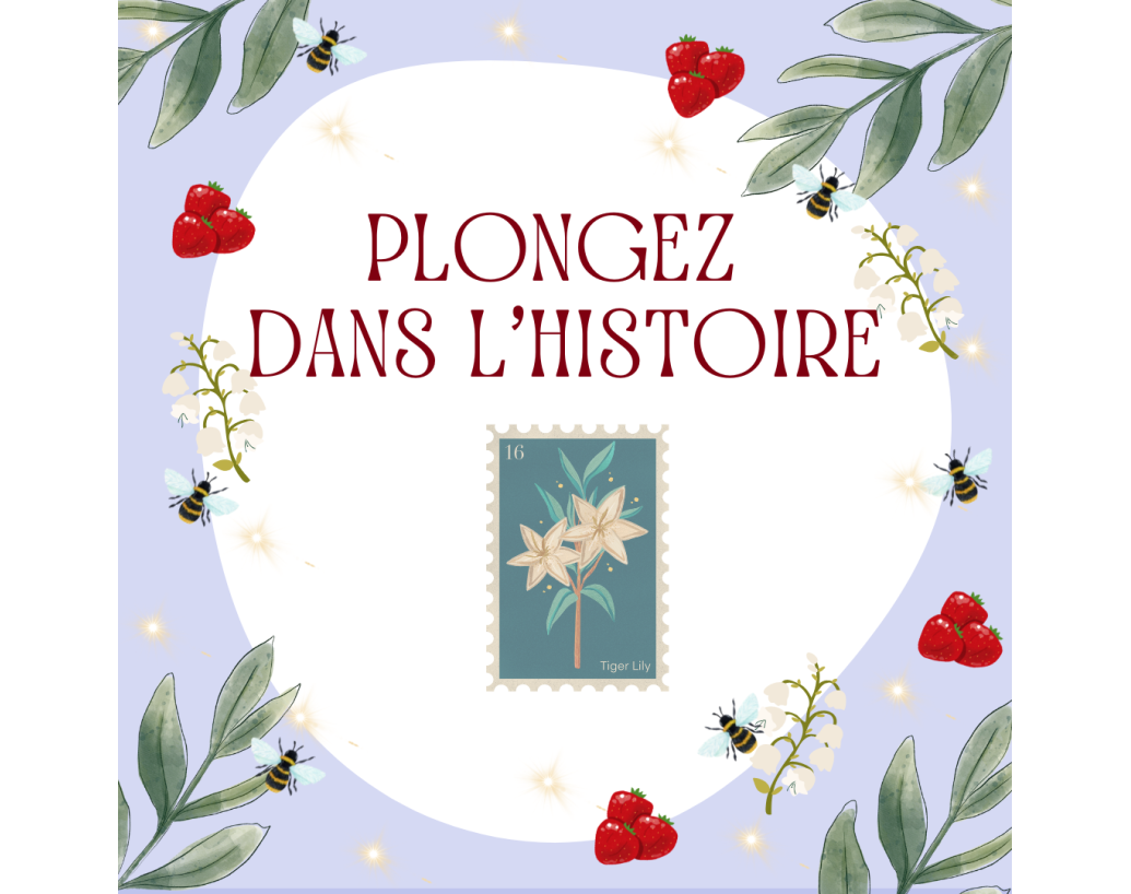 Plongez dans l'histoire
